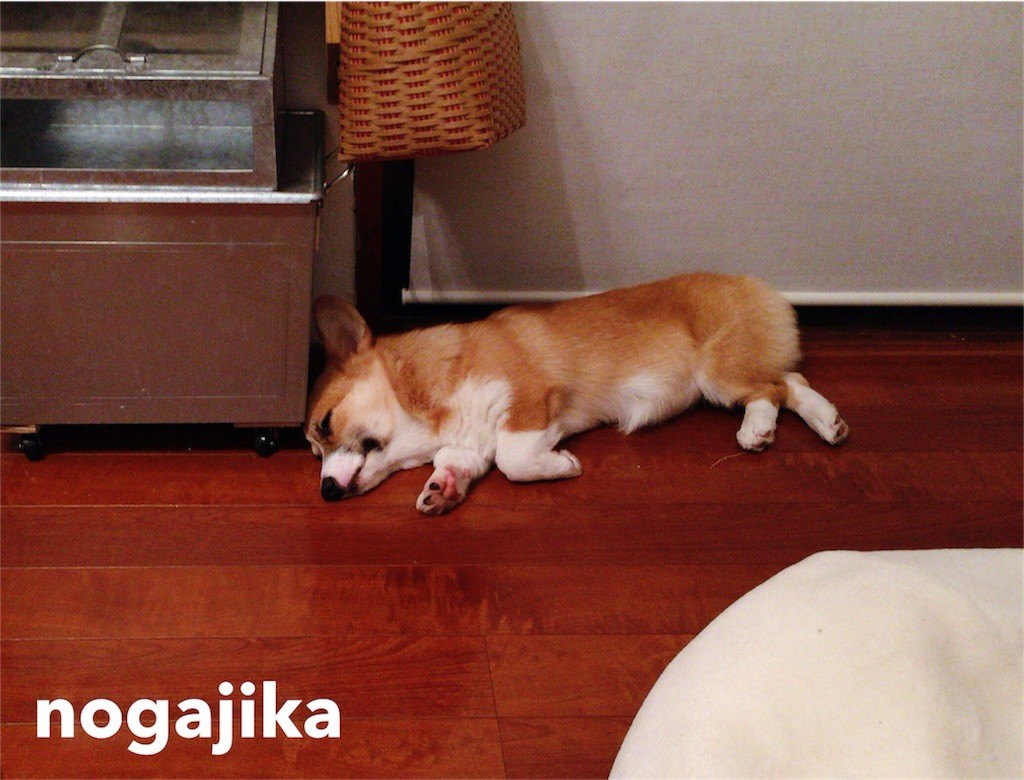 f:id:nogajika:20151005232909j:image f:id:nogajika:20151005232909j:image