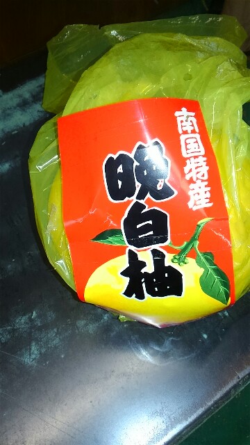f:id:nogamitatamidr:20150218095800j:image f:id:nogamitatamidr:20150218095800j:image