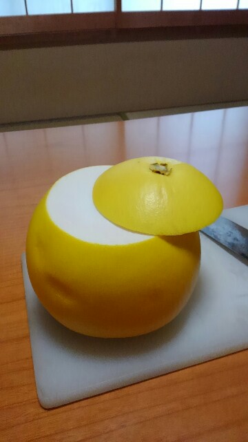 f:id:nogamitatamidr:20150218101003j:image f:id:nogamitatamidr:20150218101003j:image