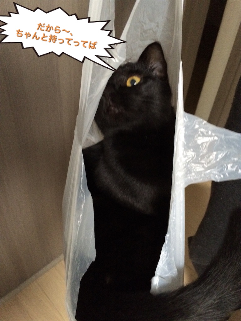 f:id:noirdaily:20160420072403j:image