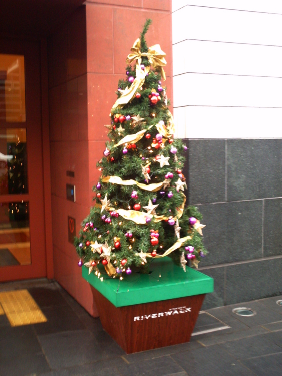 f:id:noisycembalo:20091101133949j:image:w200:right f:id:noisycembalo:20091101133949j:image:w200:right