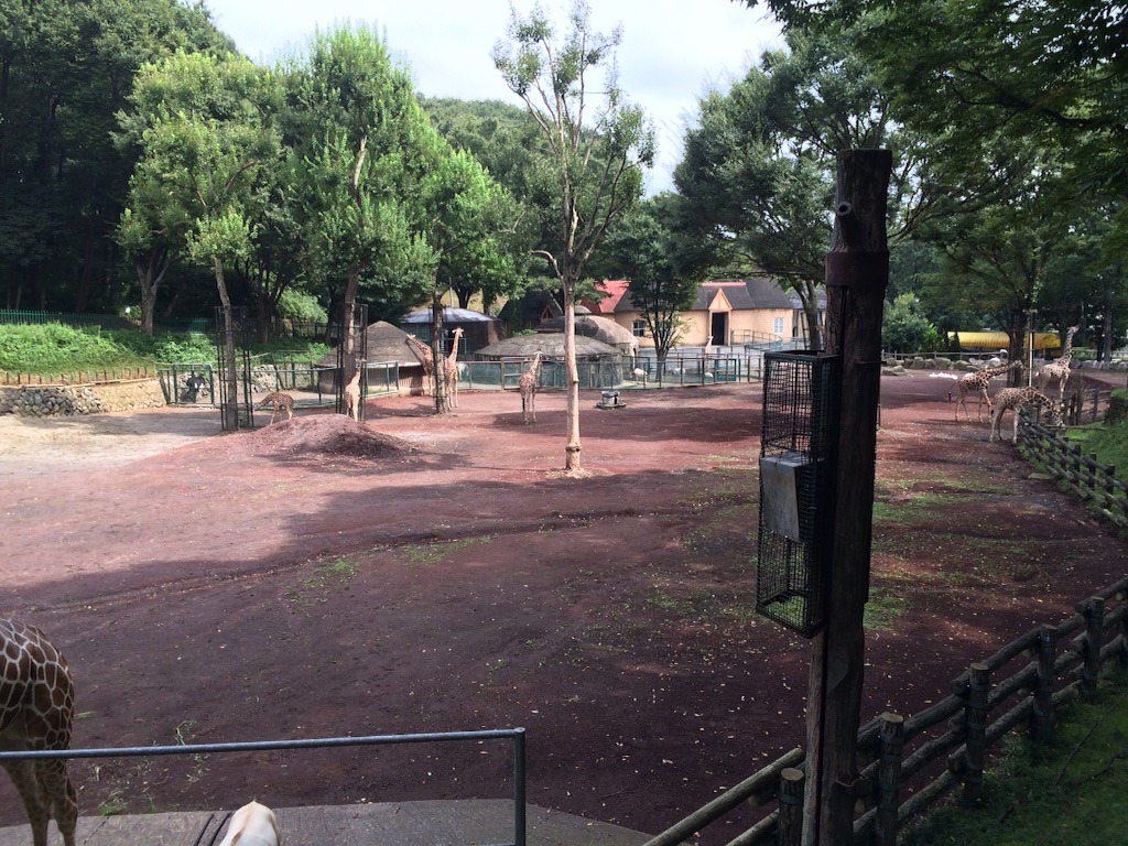 f:id:noma9289:20150905133117j:image f:id:noma9289:20150905133117j:image