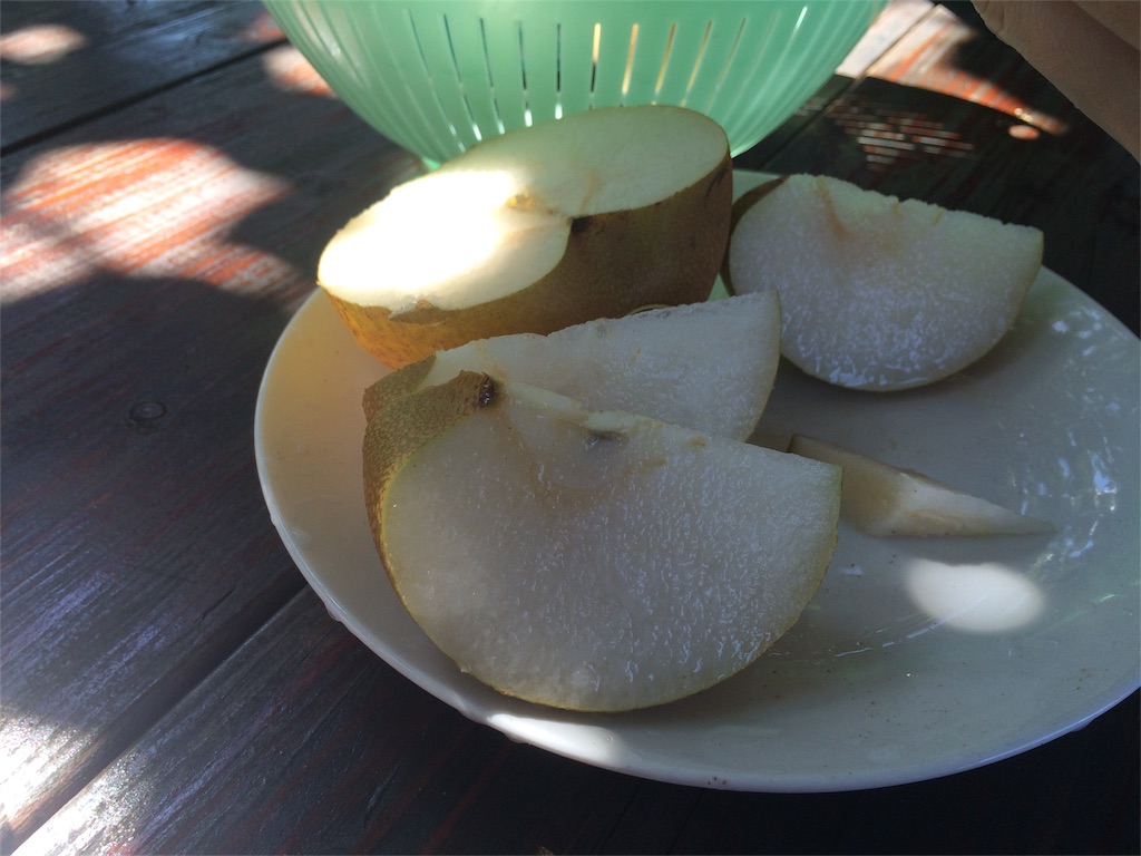 f:id:noma9289:20150922114520j:image f:id:noma9289:20150922114520j:image