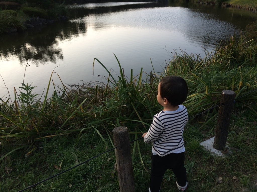 f:id:noma9289:20151021160817j:plain f:id:noma9289:20151021160817j:plain