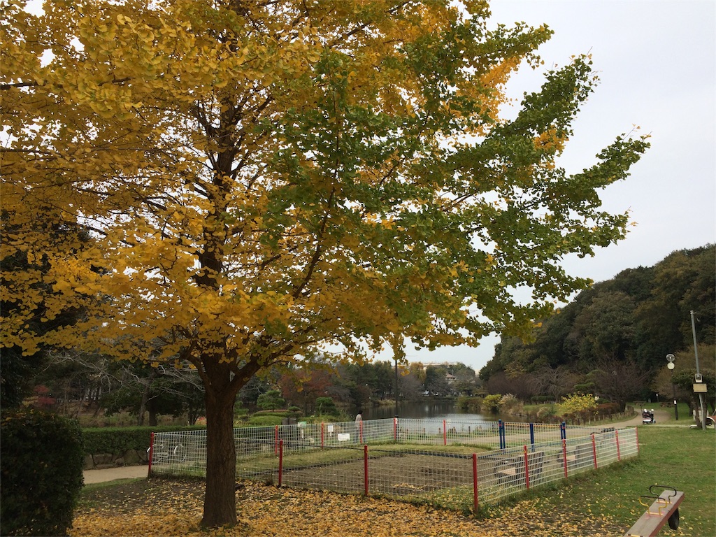 f:id:noma9289:20151124070220j:image f:id:noma9289:20151124070220j:image