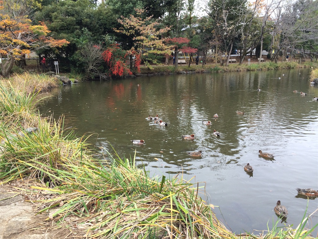f:id:noma9289:20151124070228j:image f:id:noma9289:20151124070228j:image