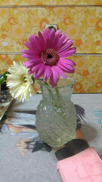 f:id:nominomitan:20151109210655j:image f:id:nominomitan:20151109210655j:image