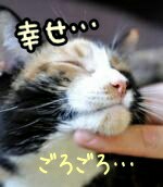 f:id:nominomitan:20151109211644j:image f:id:nominomitan:20151109211644j:image
