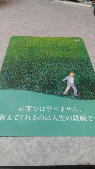 f:id:nominomitan:20151201213751j:image f:id:nominomitan:20151201213751j:image
