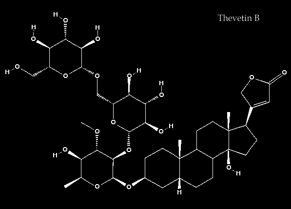 ThevetinB