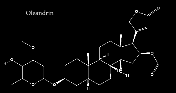 oleandrin