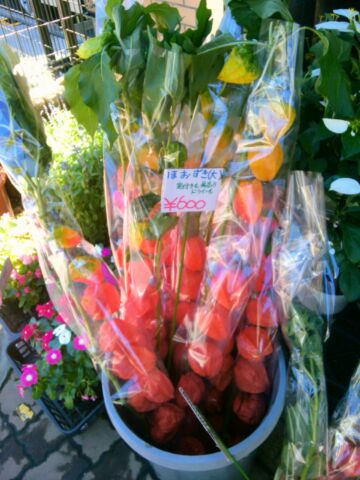 f:id:nonamed:20140712094203j:plain f:id:nonamed:20140712094203j:plain