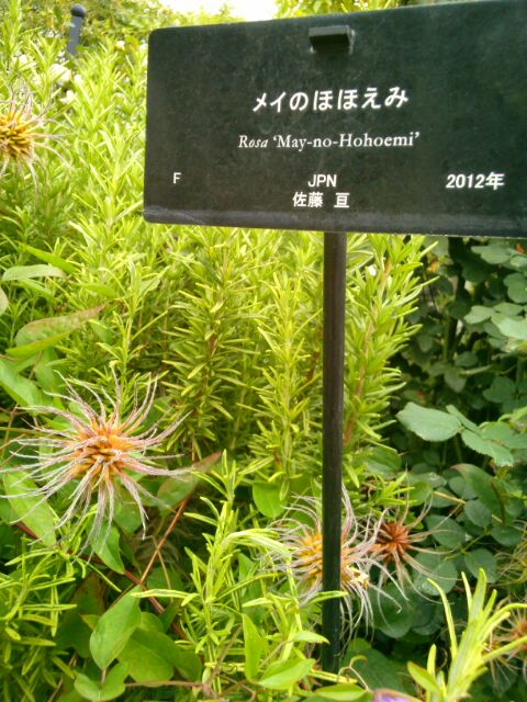 f:id:nonamed:20141024192120j:plain f:id:nonamed:20141024192120j:plain