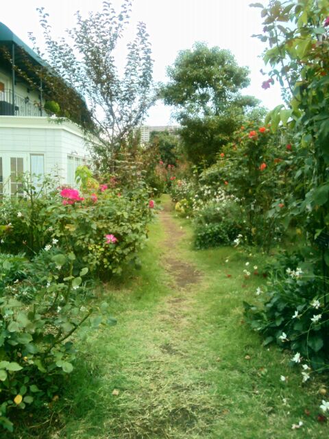 f:id:nonamed:20141104055636j:plain