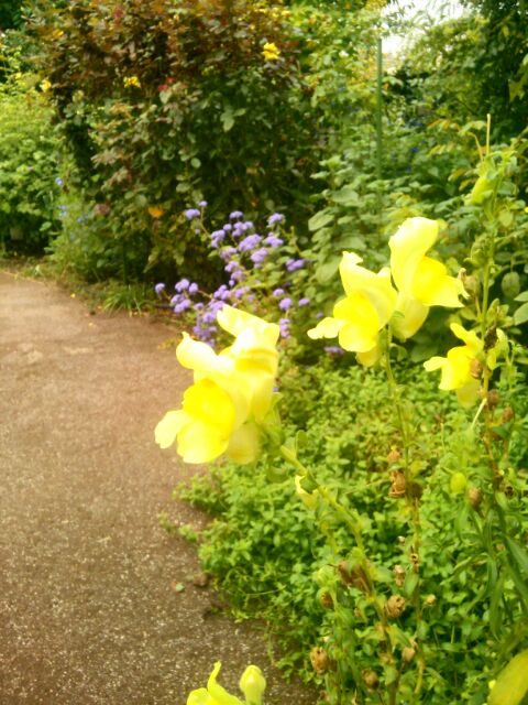 f:id:nonamed:20141104063935j:plain f:id:nonamed:20141104063935j:plain