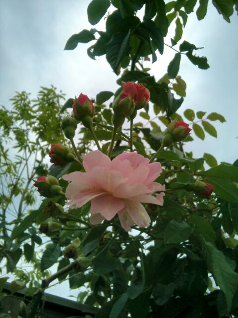 f:id:nonamed:20141104064145j:plain f:id:nonamed:20141104064145j:plain