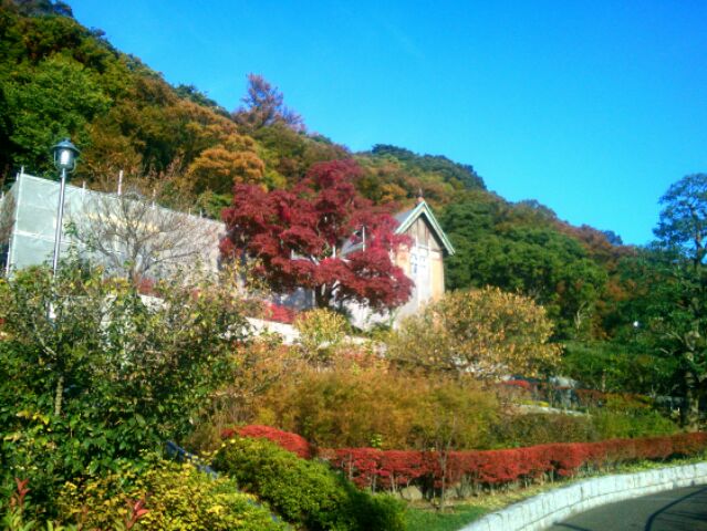 f:id:nonamed:20151105152044j:plain f:id:nonamed:20151105152044j:plain