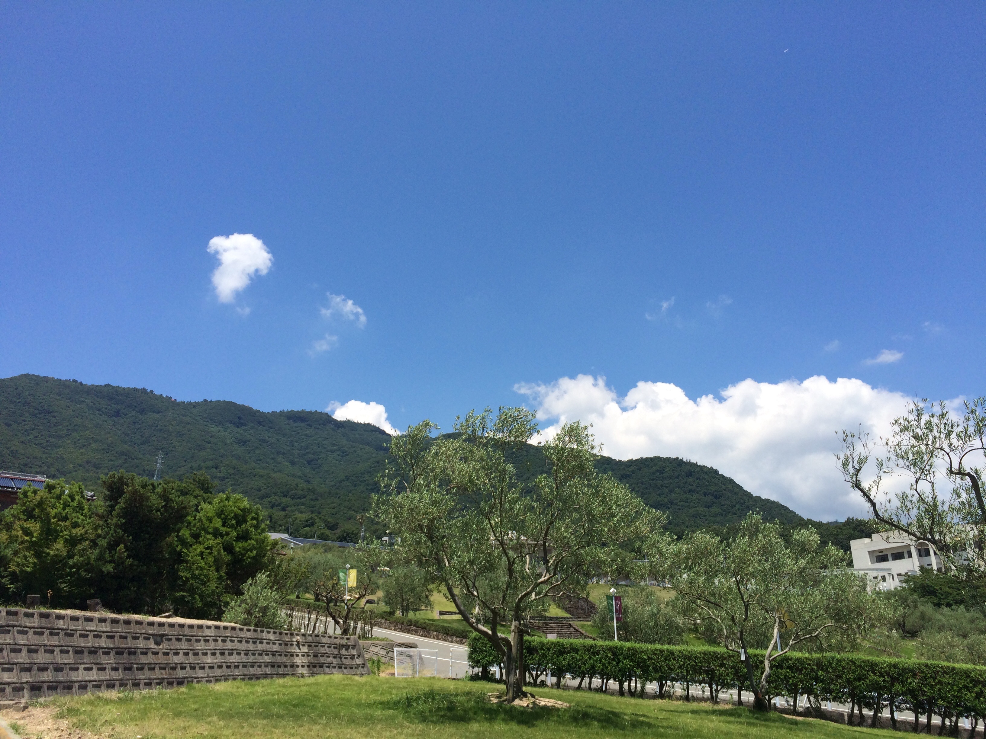 f:id:nonareeves24:20160707233829j:image f:id:nonareeves24:20160707233829j:image