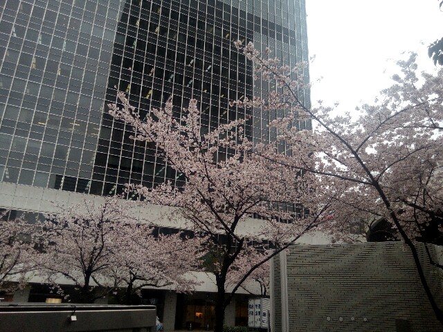 f:id:nonbirihappy:20160404152400j:image f:id:nonbirihappy:20160404152400j:image
