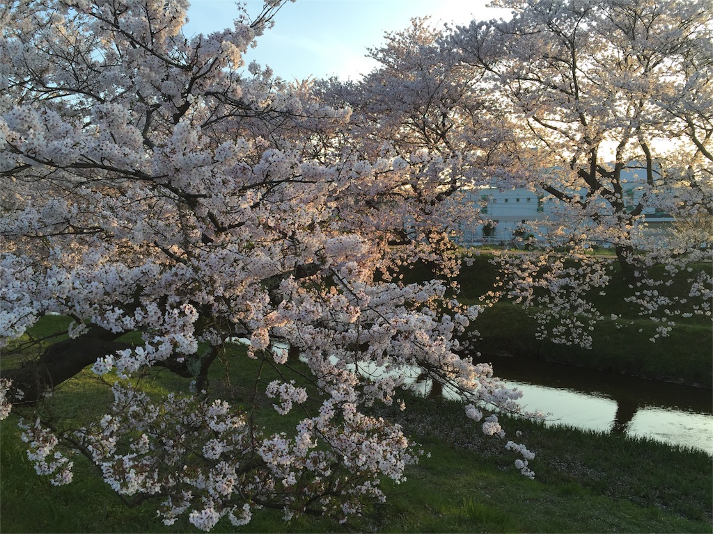 f:id:nonkey_monkey:20160407091100j:image f:id:nonkey_monkey:20160407091100j:image