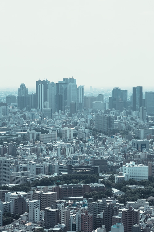 f:id:nonogray:20141021091839j:plain f:id:nonogray:20141021091839j:plain