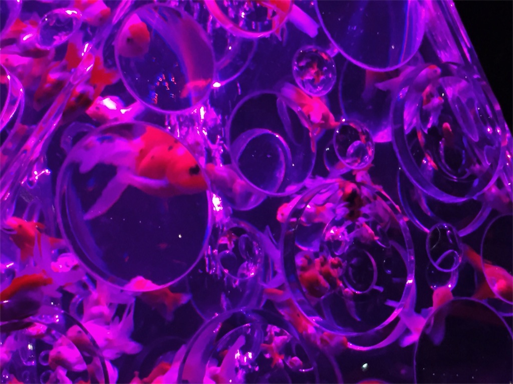 f:id:nonvwest:20151129160154j:image f:id:nonvwest:20151129160154j:image
