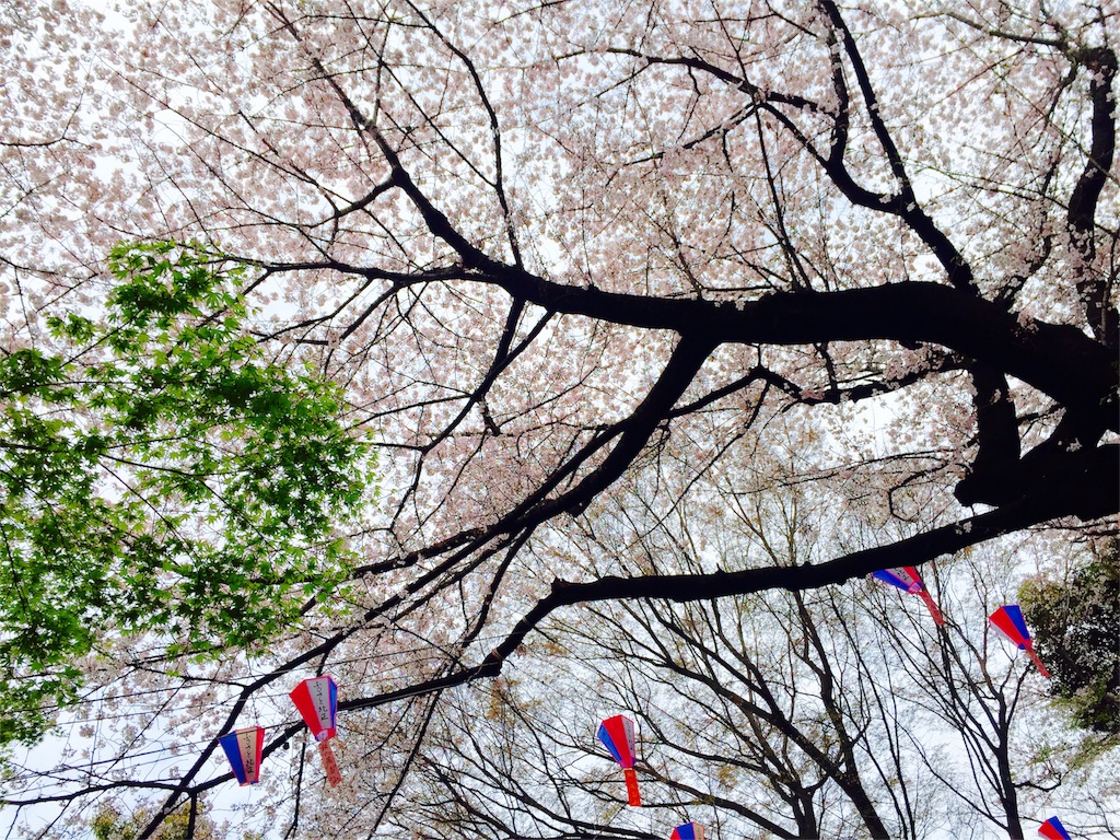f:id:noolong:20160404015241j:image f:id:noolong:20160404015241j:image