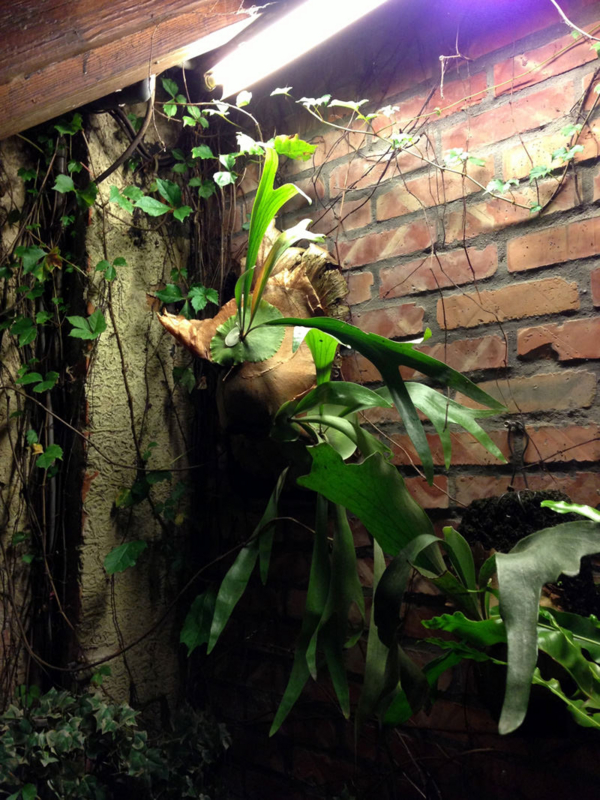 f:id:noon_45cm:20130708024622j:plain f:id:noon_45cm:20130708024622j:plain