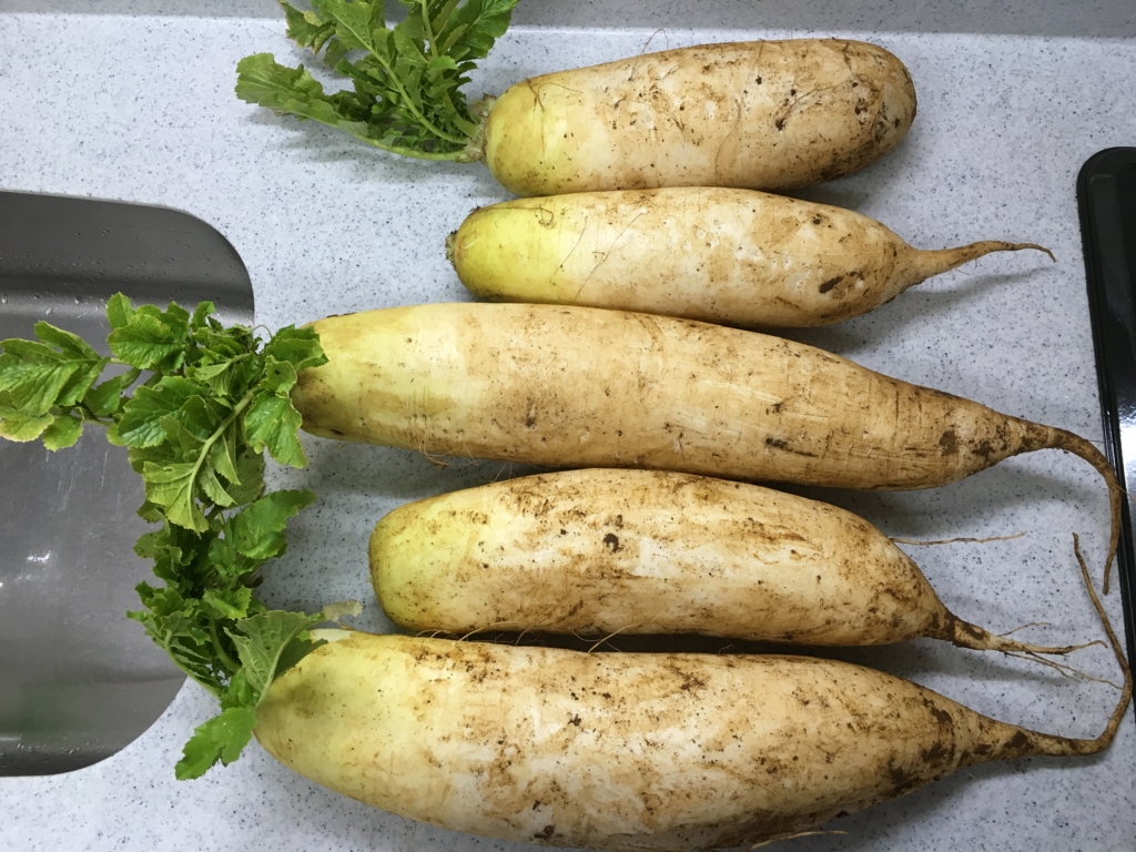 f:id:noribealive:20160130134212j:plain