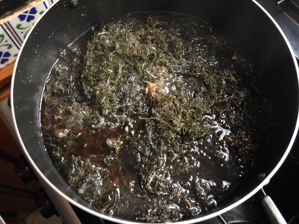 f:id:norimasa:20150825051726j:plain f:id:norimasa:20150825051726j:plain