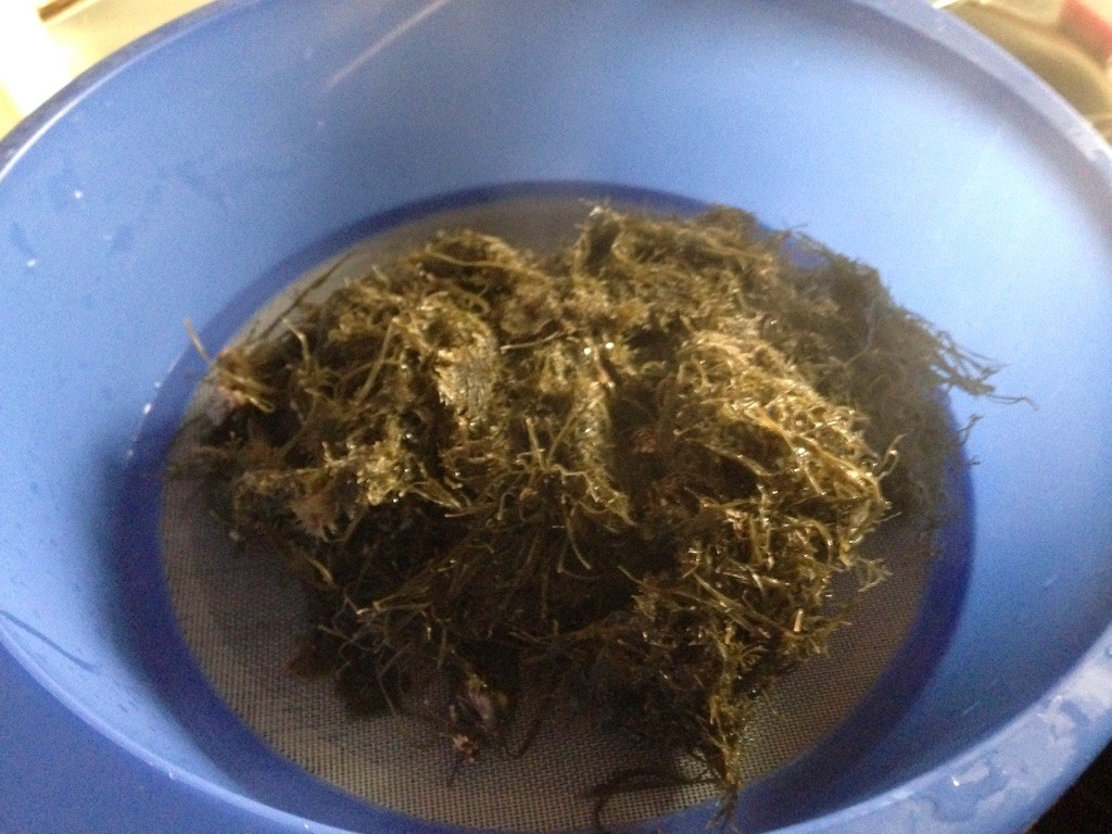 f:id:norimasa:20150825052251j:image f:id:norimasa:20150825052251j:image