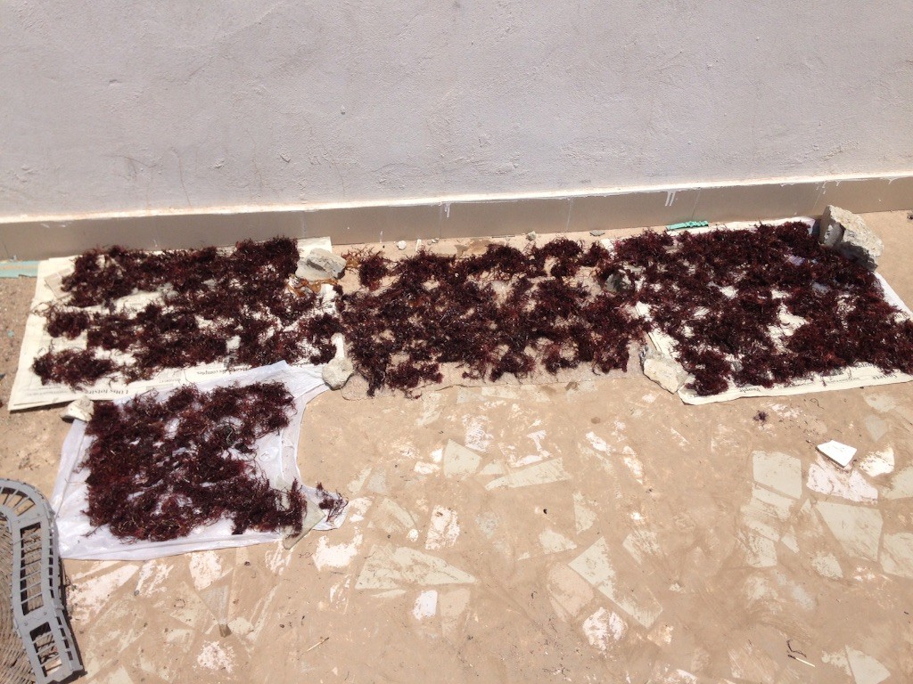 f:id:norimasa:20150825052812j:image f:id:norimasa:20150825052812j:image