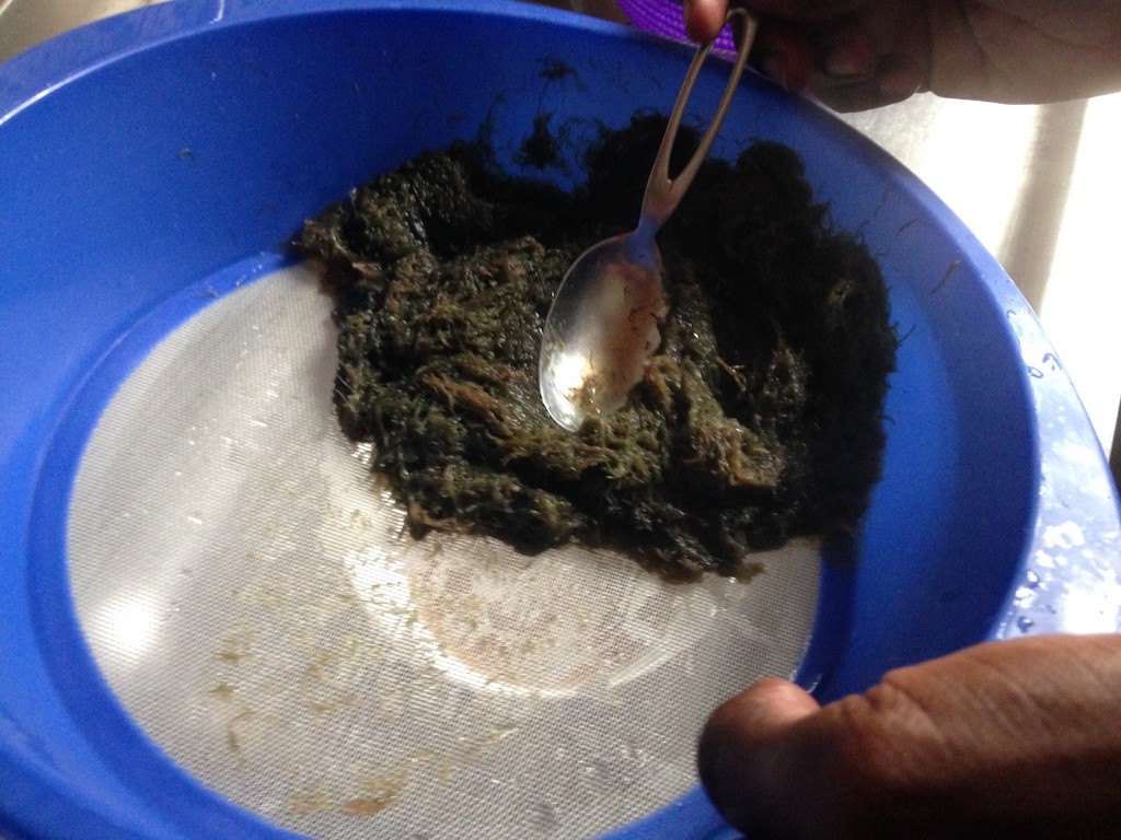 f:id:norimasa:20151008010401j:image f:id:norimasa:20151008010401j:image