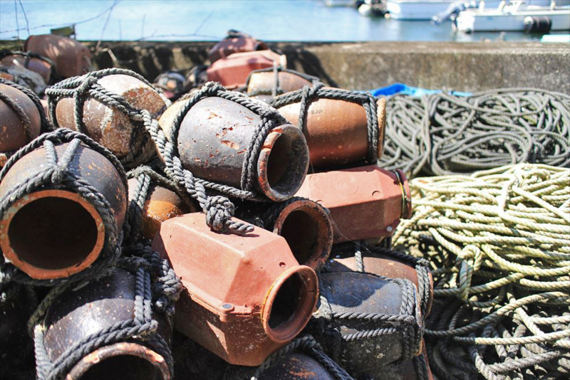 f:id:norimatsu4:20140913124318j:plain f:id:norimatsu4:20140913124318j:plain