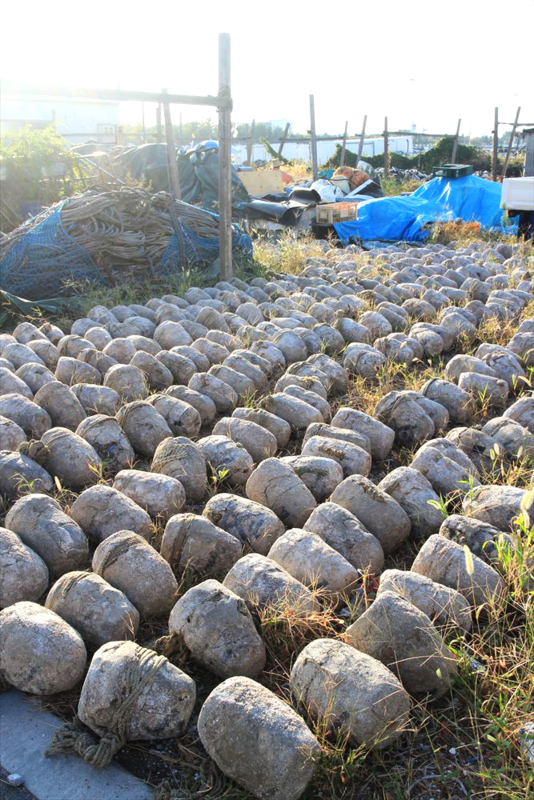 f:id:norimatsu4:20140927164130j:plain f:id:norimatsu4:20140927164130j:plain