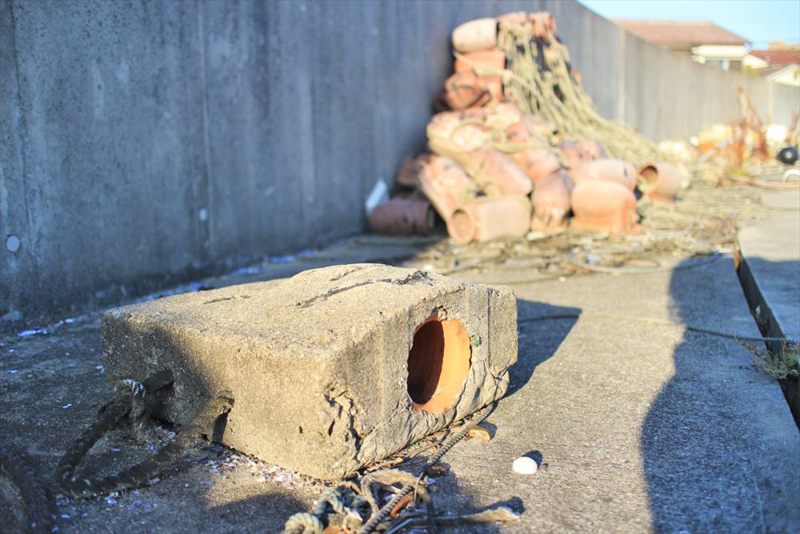 f:id:norimatsu4:20140927165222j:plain f:id:norimatsu4:20140927165222j:plain