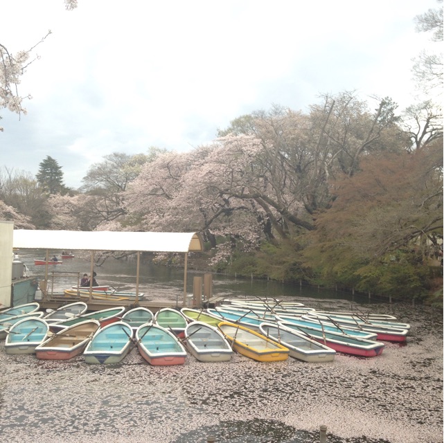 f:id:norimiw:20150404003306j:plain f:id:norimiw:20150404003306j:plain