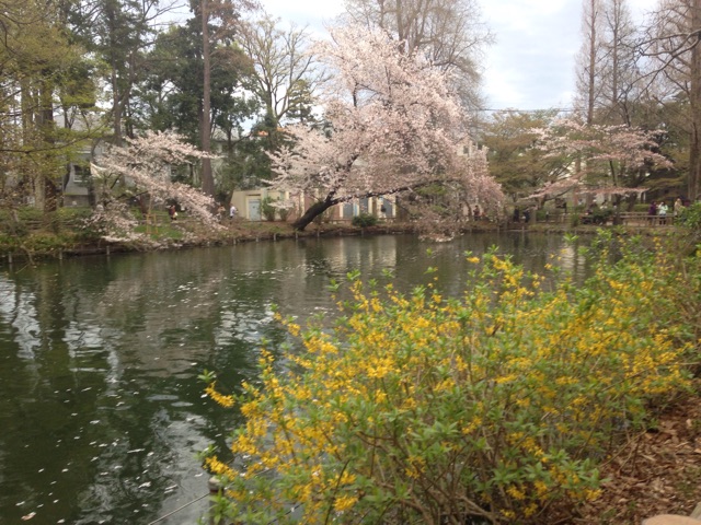 f:id:norimiw:20150404003532j:plain f:id:norimiw:20150404003532j:plain