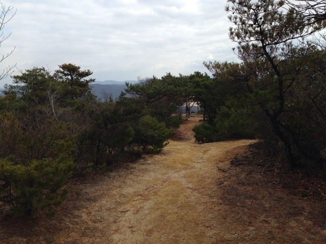f:id:norio373:20131222181733j:plain f:id:norio373:20131222181733j:plain