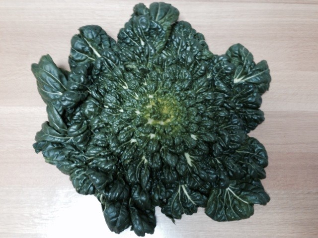 f:id:norio373:20140120192535j:plain f:id:norio373:20140120192535j:plain