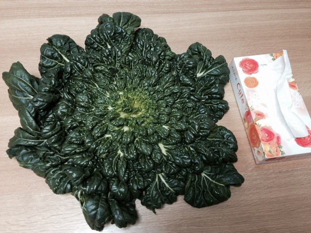 f:id:norio373:20140120192552j:plain f:id:norio373:20140120192552j:plain