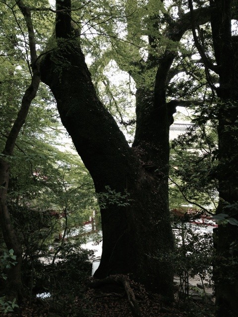 f:id:norio373:20140429213950j:plain f:id:norio373:20140429213950j:plain