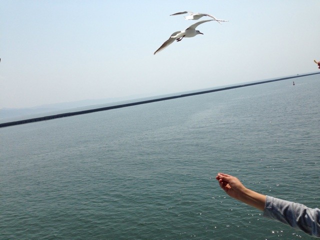f:id:norio373:20140502211409j:plain f:id:norio373:20140502211409j:plain