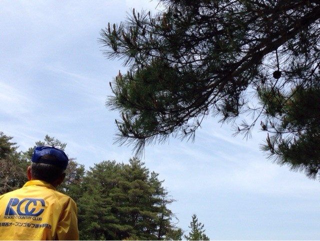 f:id:norio373:20140525130044j:plain f:id:norio373:20140525130044j:plain