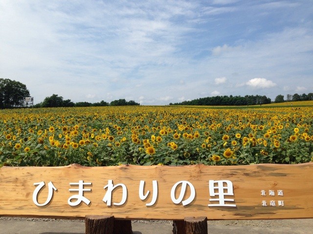 f:id:norio373:20140810134518j:plain f:id:norio373:20140810134518j:plain