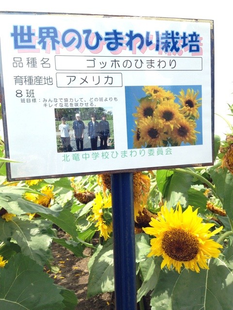 f:id:norio373:20140810175240j:plain f:id:norio373:20140810175240j:plain