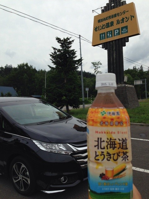 f:id:norio373:20140810175246j:plain f:id:norio373:20140810175246j:plain