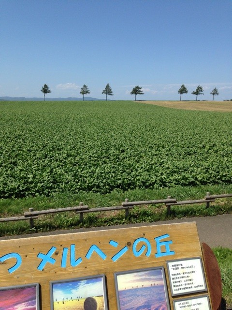f:id:norio373:20140812180450j:plain f:id:norio373:20140812180450j:plain