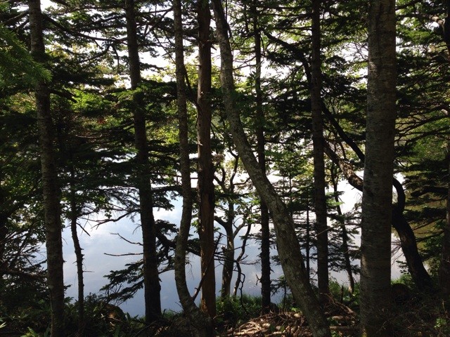 f:id:norio373:20140813143200j:plain f:id:norio373:20140813143200j:plain