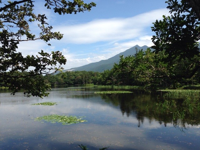 f:id:norio373:20140813143307j:plain f:id:norio373:20140813143307j:plain